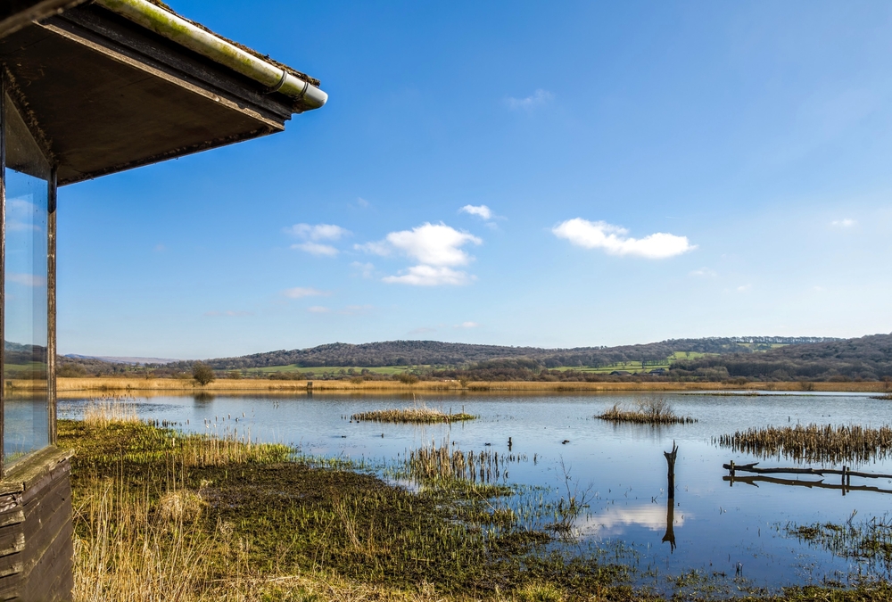 Leighton Moss Visit Silverdale in the Spring